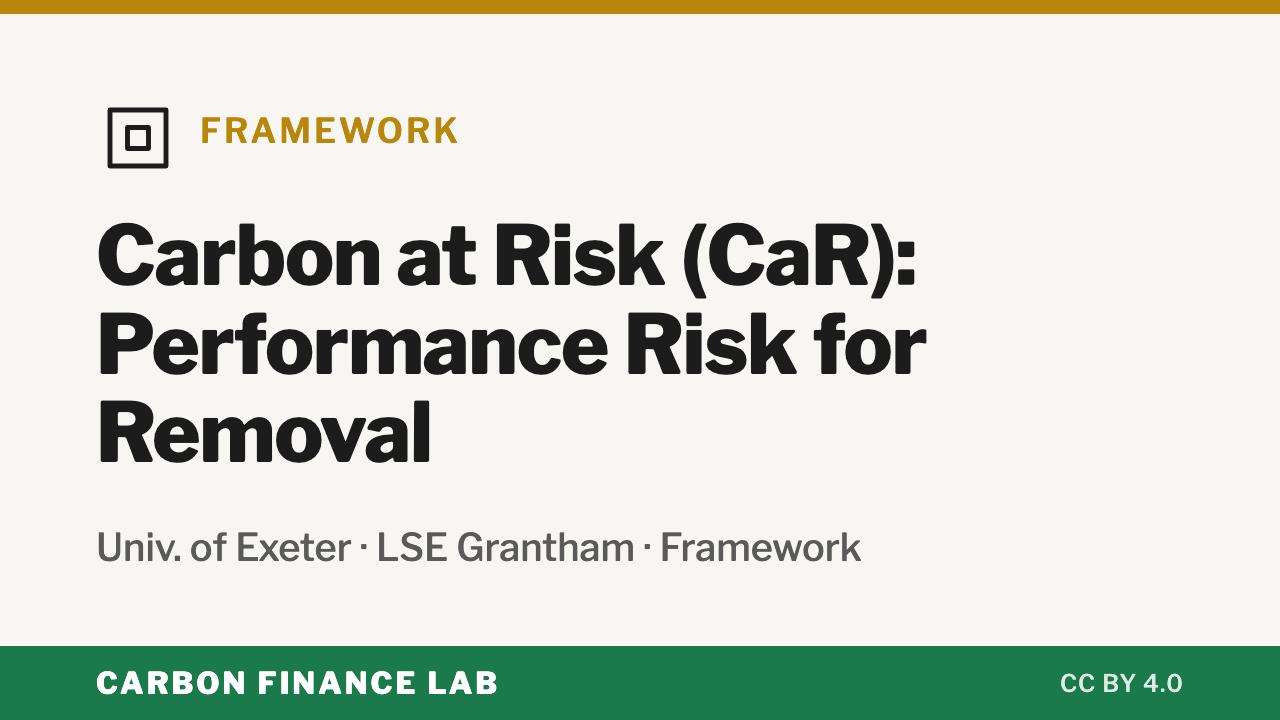 Carbon at Risk (CaR): Performance Risk for Removal — Framework