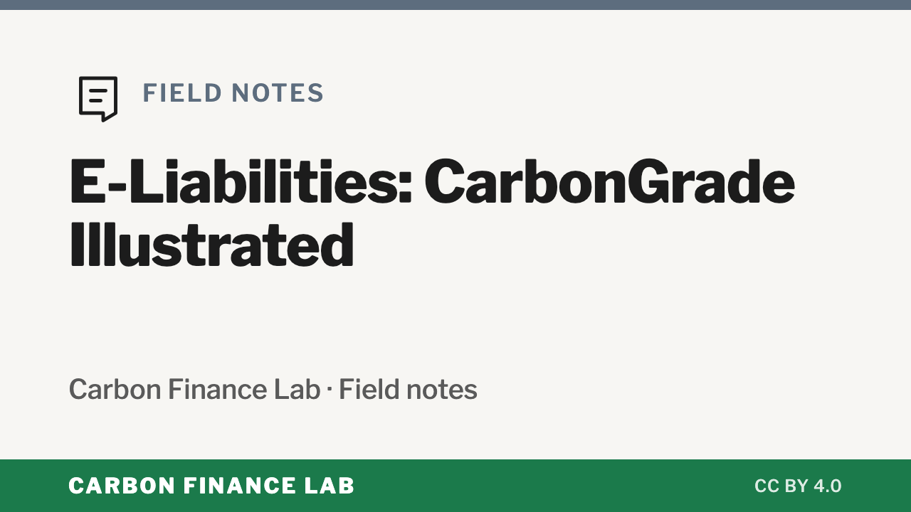 E-Liabilities: CarbonGrade Illustrated — Field notes